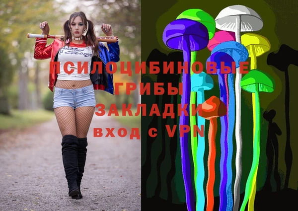 ECSTASY Абаза