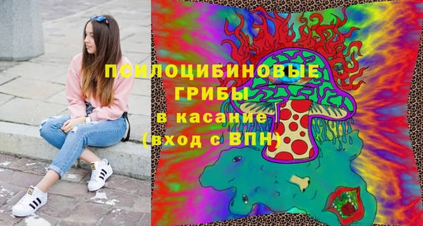 ГАЛЛЮЦИНОГЕННЫЕ ГРИБЫ Алексеевка